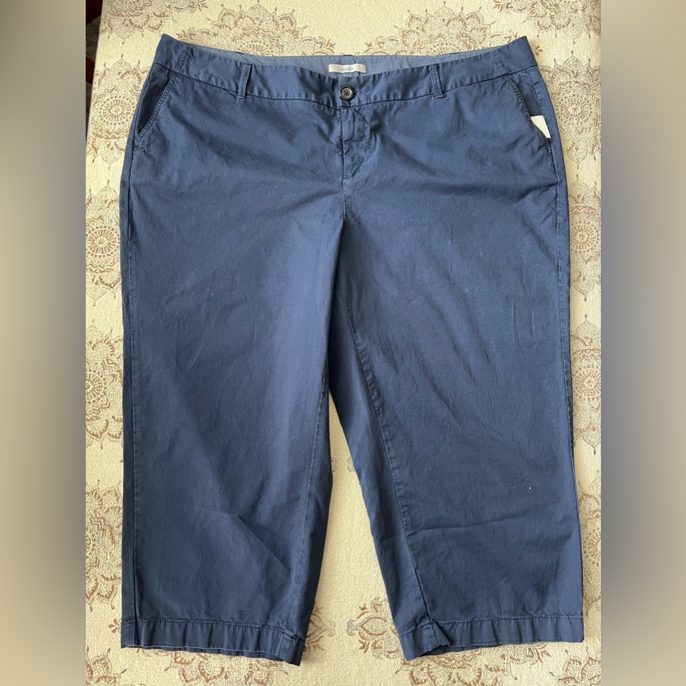 NWT Nordstrom Sejour 24W Black Cropped Pants